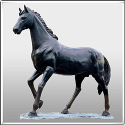 馬的雕塑 馬的雕塑
