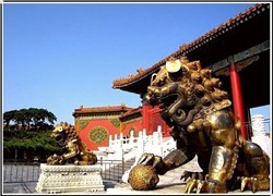 無繡球的獅子 無繡球的獅子