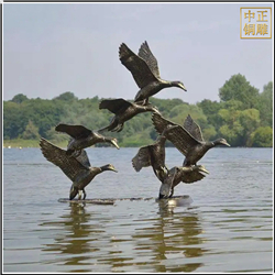 水中天鵝景觀銅雕塑 水中天鵝景觀銅雕塑