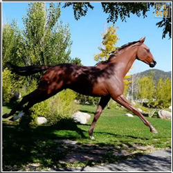 鑄銅關公 奔跑銅馬雕塑定制