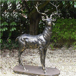 廣場銅鹿 廣場銅鹿